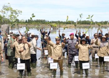 Gubenur Ikuti Kick Off Penanaman Mangrove For Coastal Resilience di Provinsi Kaltara