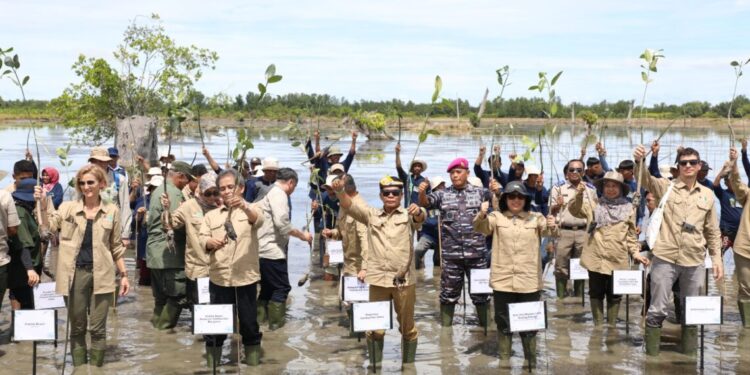 Gubenur Ikuti Kick Off Penanaman Mangrove For Coastal Resilience di Provinsi Kaltara