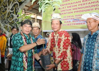 Jadi Pintu Masuk IKN, Kaltara Berbenah Tingkatkan Produktivitas Pangan Nasional