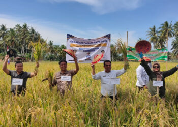 Pemprov Gelar Panen Raya Bersama Gapoktan Mamminasae Sebatik