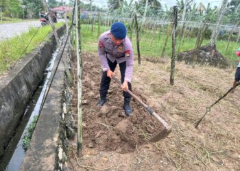 Dukung Ketahanan Pangan, Gegana Satbrimob Polda Kaltara Tanam Kangkung