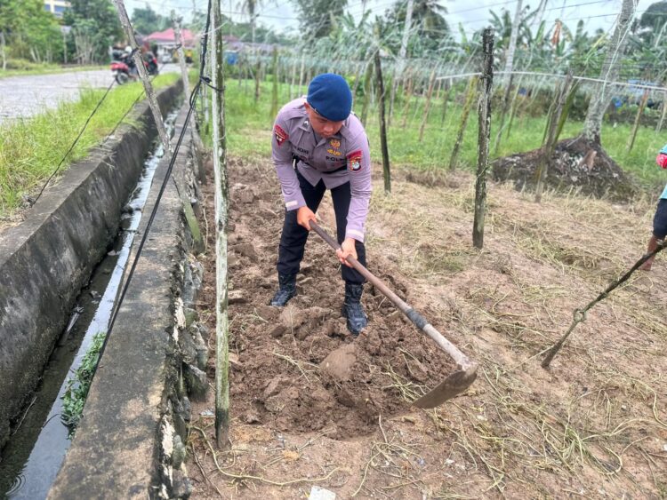 Dukung Ketahanan Pangan, Gegana Satbrimob Polda Kaltara Tanam Kangkung
