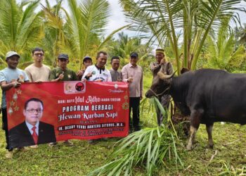 Deddy Sitorus Salurkan 4 Ekor Sapi Kurban untuk Warga Kabupaten Nunukan