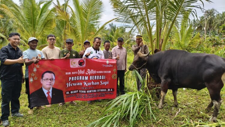 Deddy Sitorus Salurkan 4 Ekor Sapi Kurban untuk Warga Kabupaten Nunukan