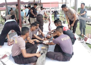 Polda Kaltara Laksanakan Pemotongan Hewan Kurban di Hari Raya Idul Adha 1446 H