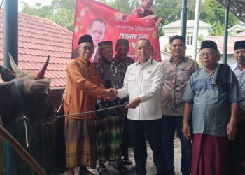 Jelang Hari Raya Idul Adha, Anggota DPR RI Deddy Sitorus Sumbangkan Sapi dan Kambing di Tarakan