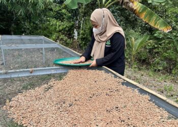 Limbah Perikanan Disulap Jadi Pakan, Pertamina FT Tarakan Raih Penghargaan Inovasi Sosial ENSIA 2025