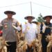 Panen Raya Jagung Kuartal III di Tarakan, Sinergi Ketahanan Pangan Kalimantan Utara