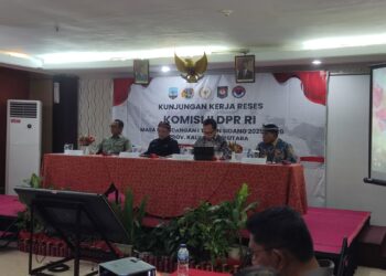 Deddy Sitorus Soroti Pemotongan TKD dan Masalah Perbatasan di Kaltara