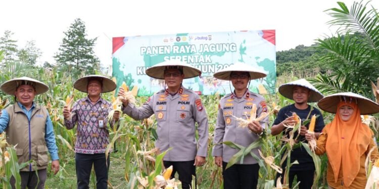 Kapolda Kaltara Pimpin Panen Raya Jagung Kuartal IV