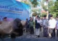 Menteri ATR/BPN Serahkan Hewan Kurban ke Ponpes Darunnajah, Wujud Kepedulian Sosial di Iduladha 1447 H