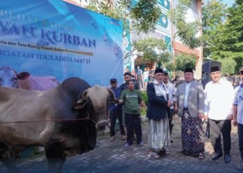 Menteri ATR/BPN Serahkan Hewan Kurban ke Ponpes Darunnajah, Wujud Kepedulian Sosial di Iduladha 1447 H