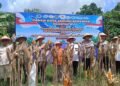 Panen raya jagung di Kelurahan Mamburungan Kota Tarakan.